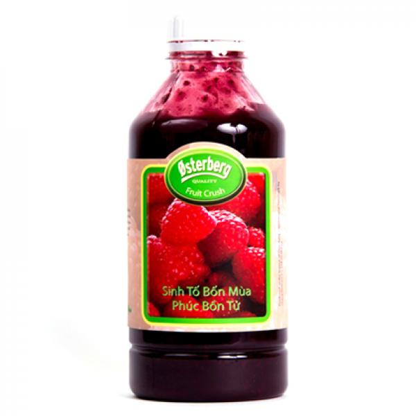 Sinh Tố Osterberg Phúc Bồn Tử