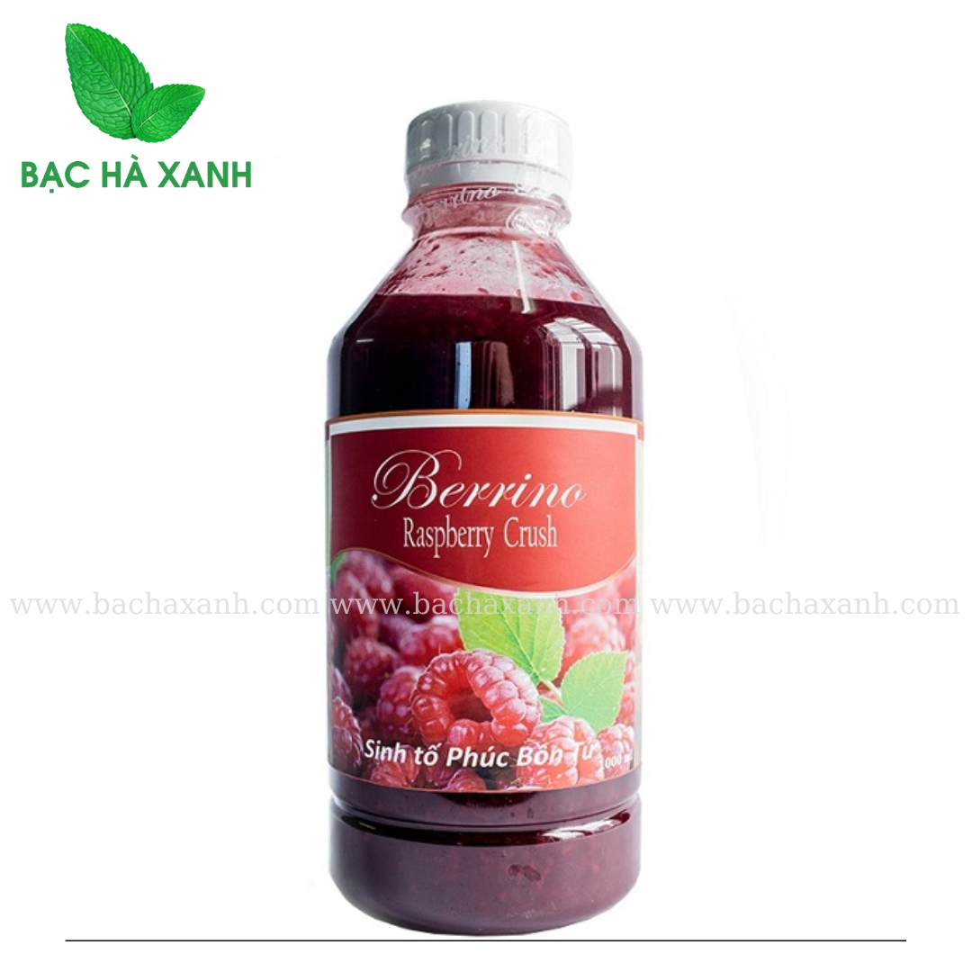 Sinh Tố Berrino Phúc Bồn Tử